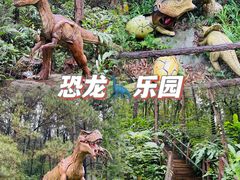 -森波拉奇妙世界