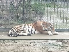 -上方山森林动物世界