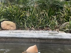 -青城道汤池
