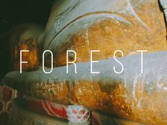 -张掖大佛寺景区