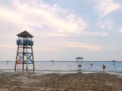 -碧海金沙