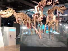 -墨尔本博物馆(Melbourne Museum)