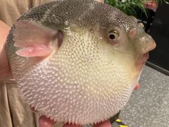 -永安鱼庄·镇江菜(东吴路店)