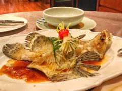 清蒸老鼠斑-广州文华东方酒店·江-由辉师傅主理