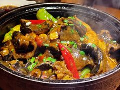 -房陵农家(东亭店)