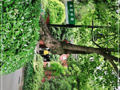 -岳王庙