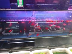 -双季花艺园艺市场(浦东店)