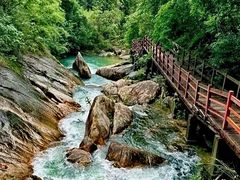 -广州白江湖森林公园