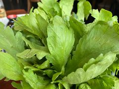 茼蒿-大隐·成都火锅Bistro(合生麒麟新天地店)