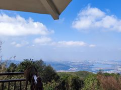 -东莞市大岭山森林公园