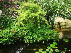 -南山植物园