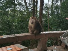 -峨眉山风景名胜区