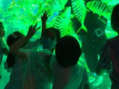-芜湖新华联大白鲸海洋公园