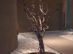 -广州香格里拉酒店