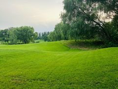 -万柳高尔夫俱乐部