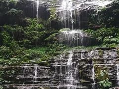 -碧峰峡风景区