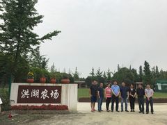 -洪湖家庭农场·团建·露营·会议