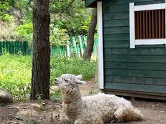 -秦岭终南山世界地质公园翠华山景区