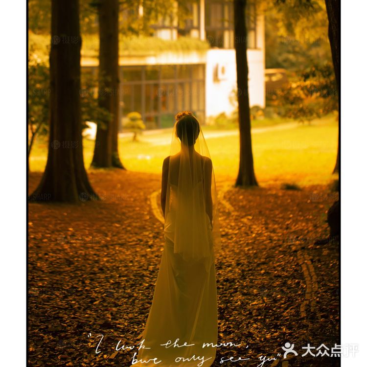 推荐🔥夏季限定·治愈满分的森系光影婚纱照