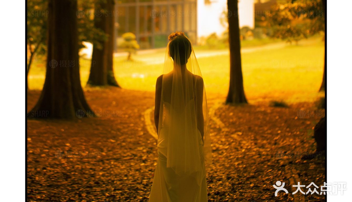 推荐🔥夏季限定·治愈满分的森系光影婚纱照