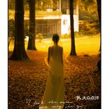 推荐🔥夏季限定·治愈满分的森系光影婚纱照