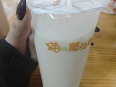 -猫的魔法密林(衣裳街店)