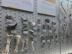 -浙江自然博物院(杭州馆)