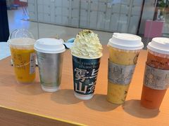 -雾与山茶(大禹城店)