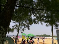 -瑶湖郊野森林公园