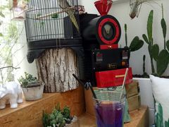 星空苏打-拾壹cafe·工作室