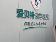 -爱贝特动物医院·猫口炎专科