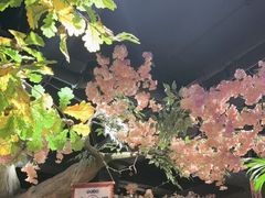 -城墙拐拐火锅(三峡广场黑金冠店)