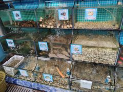 -范饭椰林川湘味海鲜·椰子鸡(三亚湾椰梦长廊店)