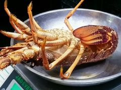 -同乐酒楼(皇后镇店)