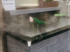 -洞庭家宴·头牌甲鱼(广渠门店)