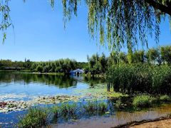 -长春市南湖公园