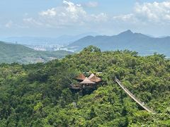 -三亚亚龙湾人间天堂鸟巢度假村