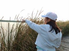 -西青郊野公园