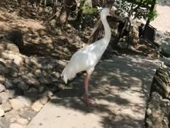 -燕塞湖鸟语林景区