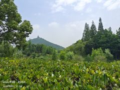 -狼山风景名胜区