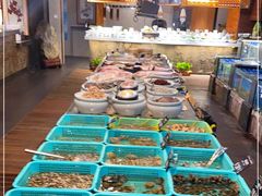 自助取餐区-浩运海鲜·16年专注青岛菜(石老人店)