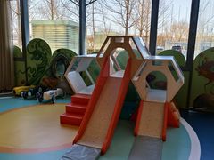 -北京首都机场希尔顿酒店