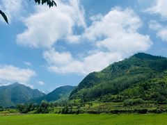 -秦岭风景区