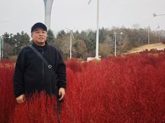-沈阳植物园