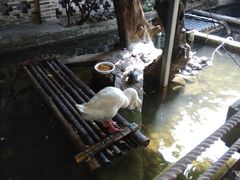 -优之名鹅城
