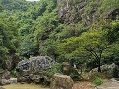 -南海湾森林生态园