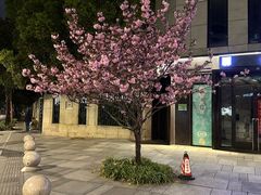 -瑞虹新天地月亮湾