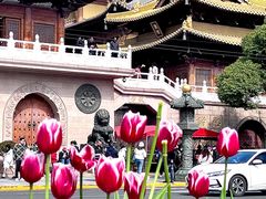 -静安公园(静安寺街道)