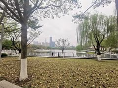 -后襄河公园