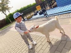 -太阳岛度假酒店